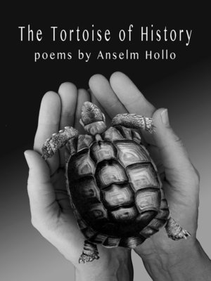 cover image of The Tortoise of History